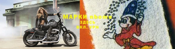 гашик Магадан