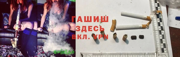 гашик Магадан