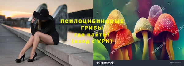 спиды Тольятти