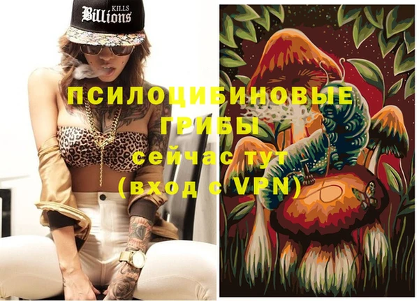 гашик Магадан
