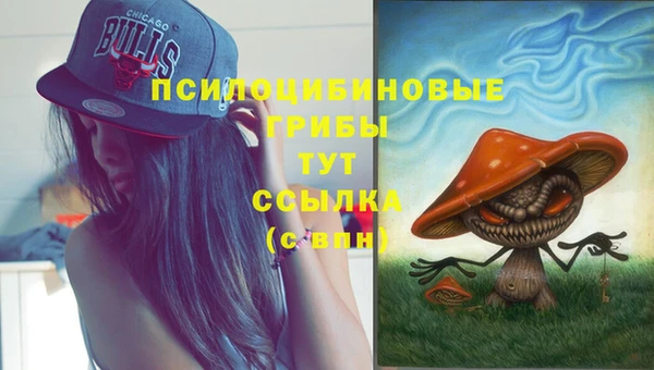 мяу мяу мука Магас