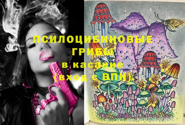 мяу мяу мука Магас